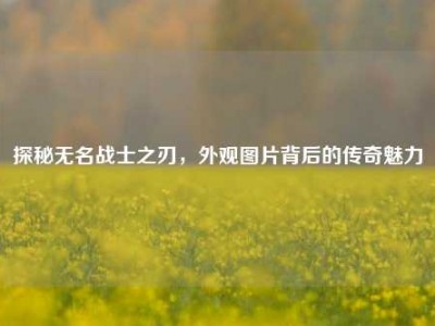 探秘无名战士之刃，外观图片背后的传奇魅力