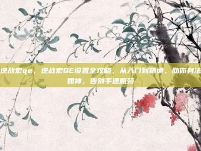 逆战宏qe，逆战宏QE设置全攻略，从入门到精通，助你身法如神，告别手速瓶颈
