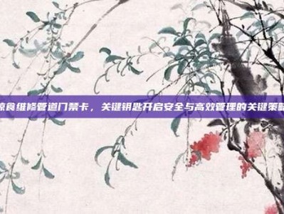 掠食维修管道门禁卡，关键钥匙开启安全与高效管理的关键策略