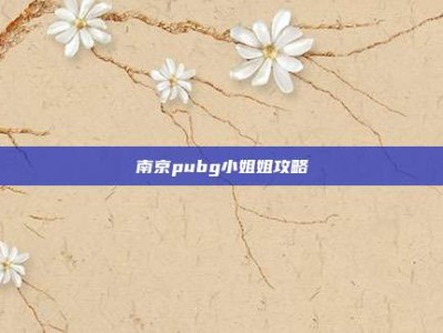 南京pubg小姐姐攻略