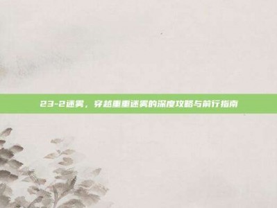 23-2迷雾，穿越重重迷雾的深度攻略与前行指南