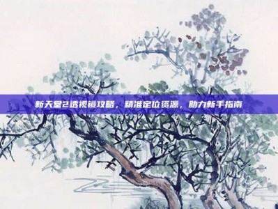 新天堂2透视镜攻略，精准定位资源，助力新手指南