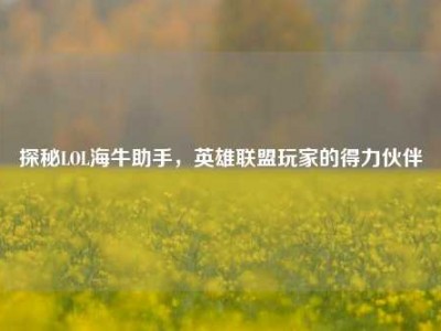 探秘LOL海牛助手，英雄联盟玩家的得力伙伴