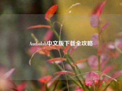 Audiolab中文版下载全攻略