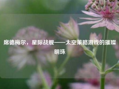 席德梅尔，星际战舰——太空策略游戏的璀璨明珠