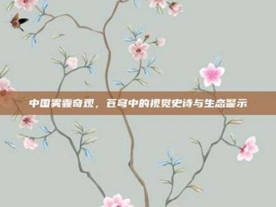 中国雾霾奇观，苍穹中的视觉史诗与生态警示