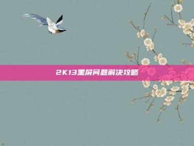 2K13黑屏问题解决攻略