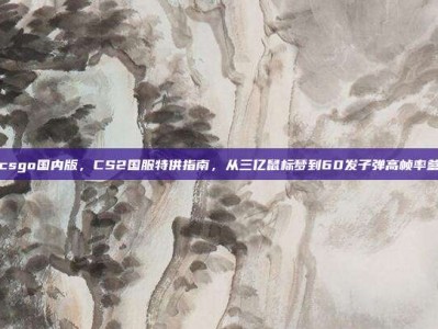 csgo国内版，CS2国服特供指南，从三亿鼠标梦到60发子弹高帧率爹