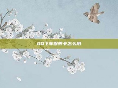 QQ飞车保养卡怎么用