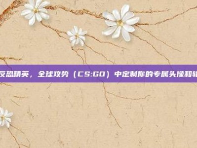 在反恐精英，全球攻势（CS:GO）中定制你的专属头像和轮椅