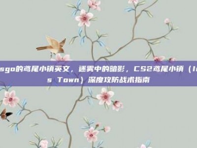 csgo的鸢尾小镇英文，迷雾中的暗影，CS2鸢尾小镇（Iris Town）深度攻防战术指南