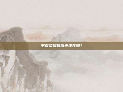 王者荣耀复原光线在哪？