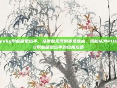 pubg职业明星选手，从默默无闻到赛场焦点，揭秘成为PUBG职业明星选手的终极攻略