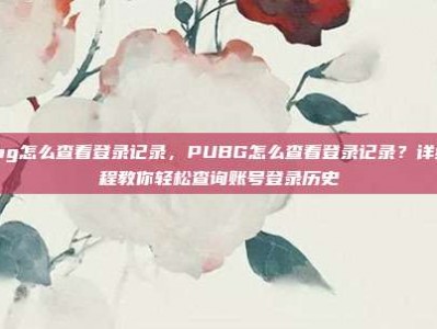 pubg怎么查看登录记录，PUBG怎么查看登录记录？详细教程教你轻松查询账号登录历史