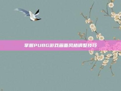 掌握PUBG游戏画面风格调整技巧