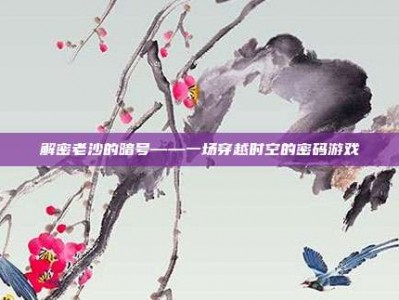 解密老沙的暗号——一场穿越时空的密码游戏