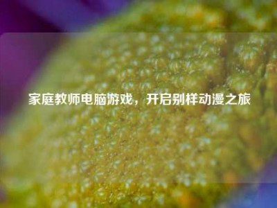 家庭教师电脑游戏，开启别样动漫之旅