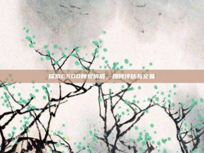 探索CSGO账号价值，如何评估与交易