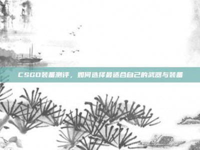 CSGO装备测评，如何选择最适合自己的武器与装备