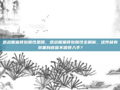 逆战熊猫背包属性是啥，逆战熊猫背包属性全解析，这件稀有装备到底值不值得入手？