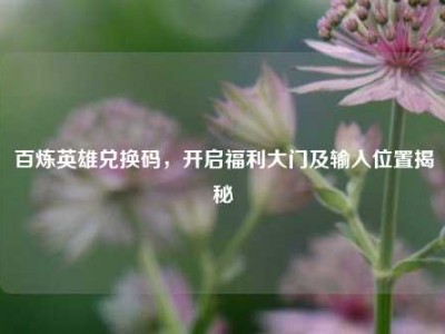 百炼英雄兑换码，开启福利大门及输入位置揭秘