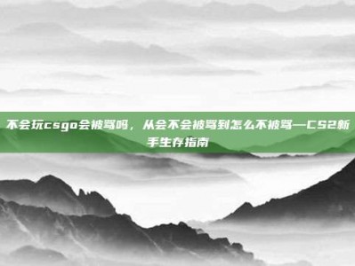 不会玩csgo会被骂吗，从会不会被骂到怎么不被骂—CS2新手生存指南