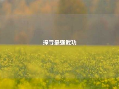 探寻最强武功