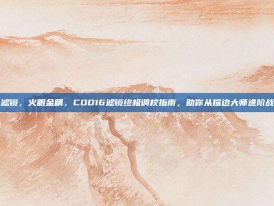 cod16 滤镜，火眼金睛，COD16滤镜终极调校指南，助你从描边大师进阶战场透视眼