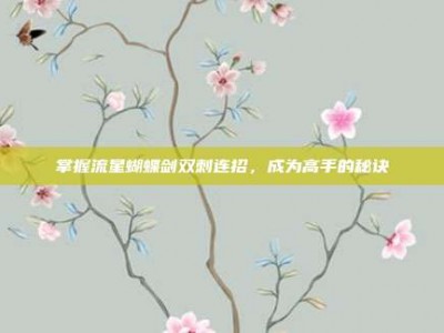 掌握流星蝴蝶剑双刺连招，成为高手的秘诀