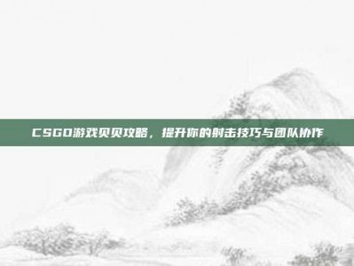 CSGO游戏贝贝攻略，提升你的射击技巧与团队协作