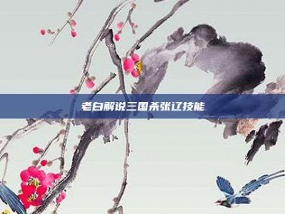 老白解说三国杀张辽技能