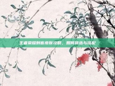 王者荣耀刺客皮肤攻略，如何挑选与搭配