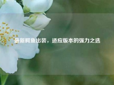 最新鳄鱼出装，适应版本的强力之选