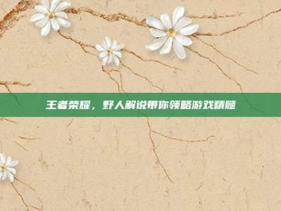 王者荣耀，野人解说带你领略游戏精髓