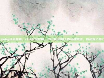 pubg红色存货，红色空投攻略，PUBG战场上的决胜物资，你抢对了吗？