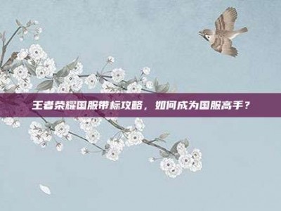 王者荣耀国服带标攻略，如何成为国服高手？