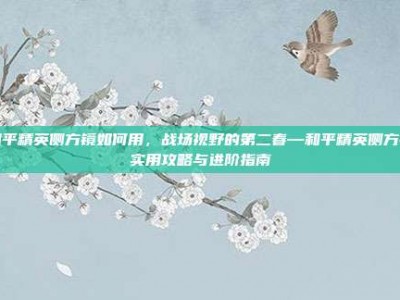 和平精英侧方镜如何用，战场视野的第二春—和平精英侧方镜实用攻略与进阶指南