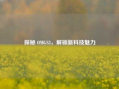 探秘 OMGS3，解锁新科技魅力