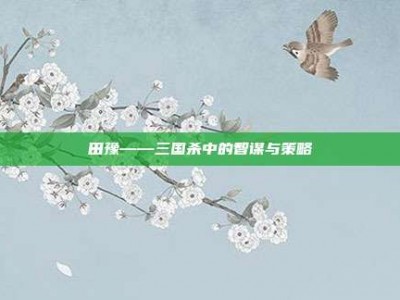 田豫——三国杀中的智谋与策略