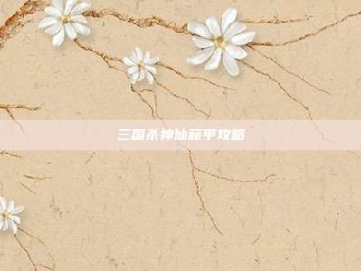 三国杀神仙藤甲攻略