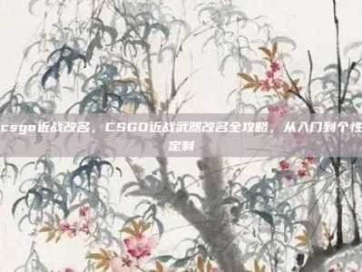 csgo近战改名，CSGO近战武器改名全攻略，从入门到个性定制