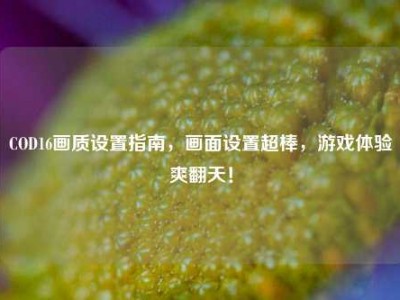 COD16画质设置指南，画面设置超棒，游戏体验爽翻天！