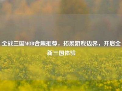 全战三国MOD合集推荐，拓展游戏边界，开启全新三国体验