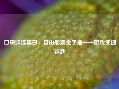 口袋妖怪黑白，自由船票金手指——游戏便捷钥匙