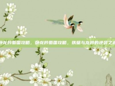 卧龙吟蜀国攻略，卧龙吟蜀国攻略，铁壁与龙吟的逆袭之道