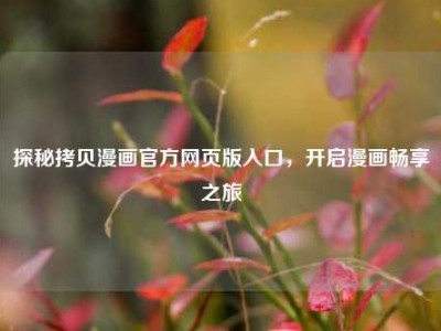 探秘拷贝漫画官方网页版入口，开启漫画畅享之旅