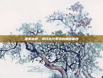 墨家秘数，揭开古代智慧的神秘面纱