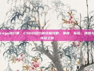 csgo纽约赛，CSGO纽约赛终极攻略，赛程、队伍、地图与夺冠之道