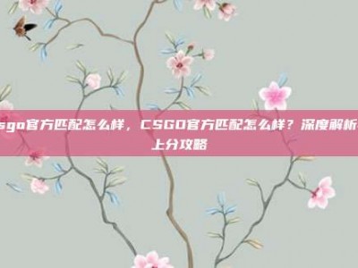 csgo官方匹配怎么样，CSGO官方匹配怎么样？深度解析与上分攻略