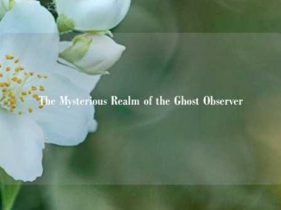 The Mysterious Realm of the Ghost Observer